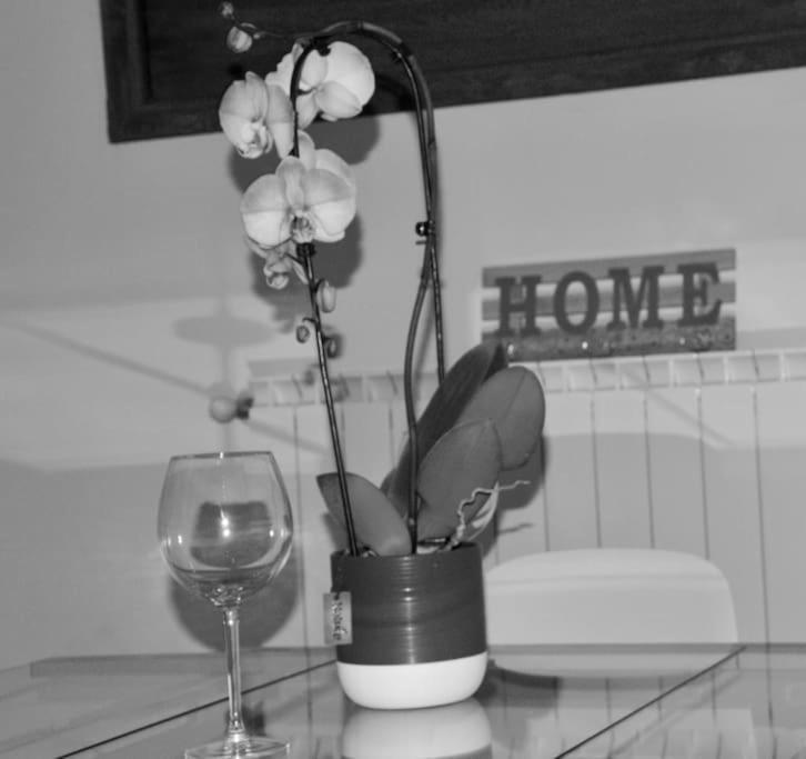 Brand New Apartment Florencja Zewnętrze zdjęcie
